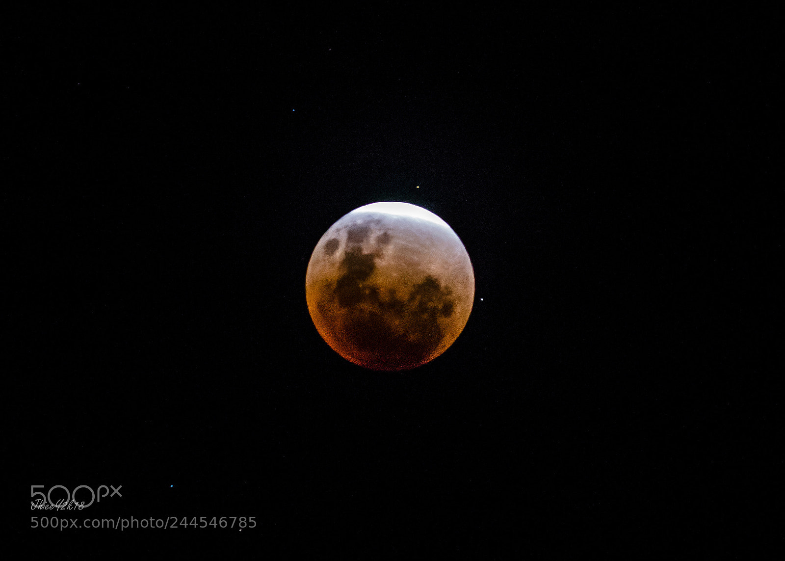 Canon EOS 60D sample photo. A blue blood moon photography