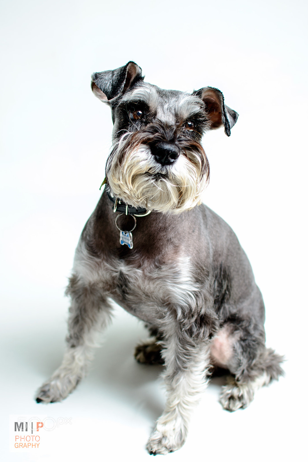 Nikon D800 sample photo. Bafer photography