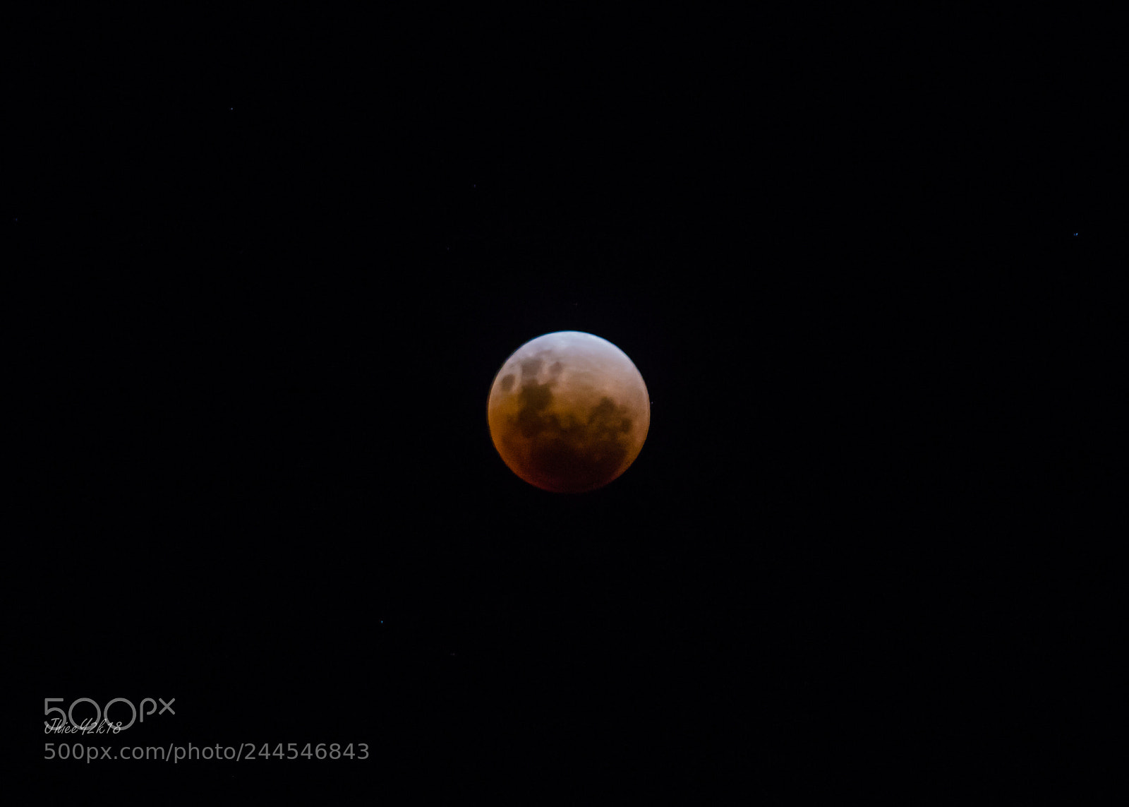 Canon EOS 60D sample photo. A blue blood moon photography