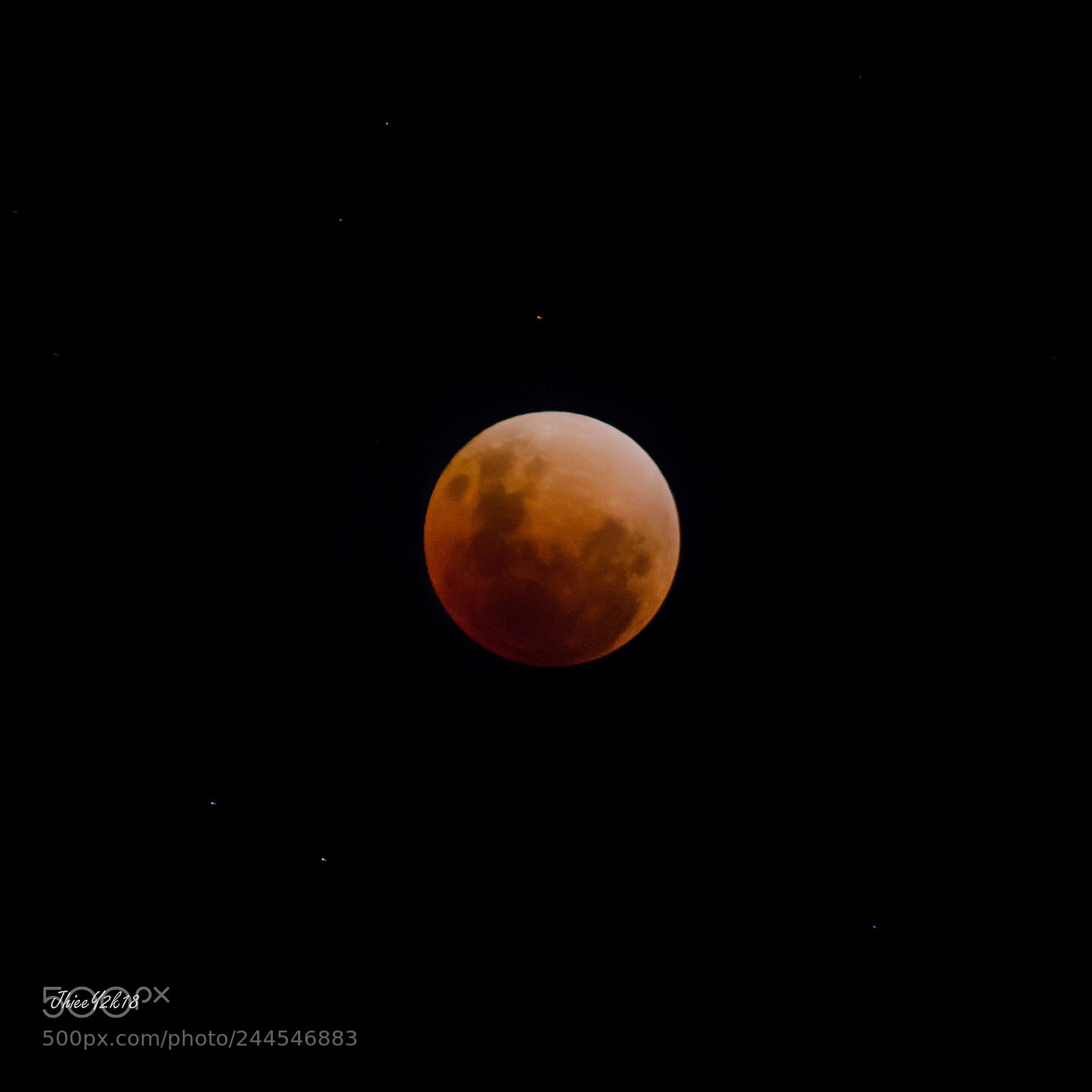 Canon EOS 60D sample photo. A blue blood moon photography