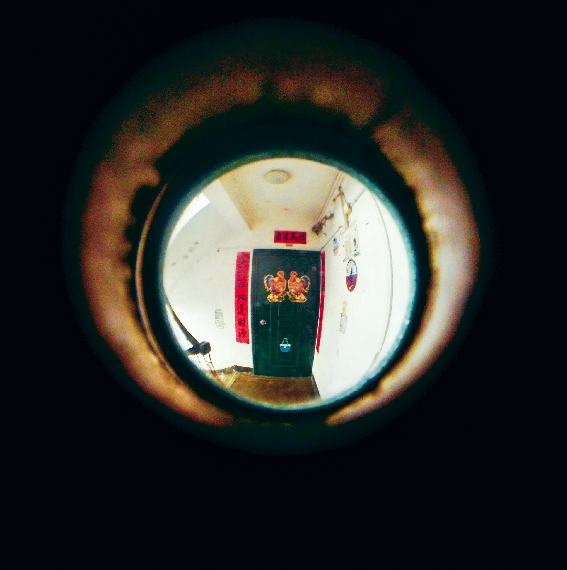 Apple iPad mini sample photo. 上一张是不要的哈，不知道咋删除...... photography