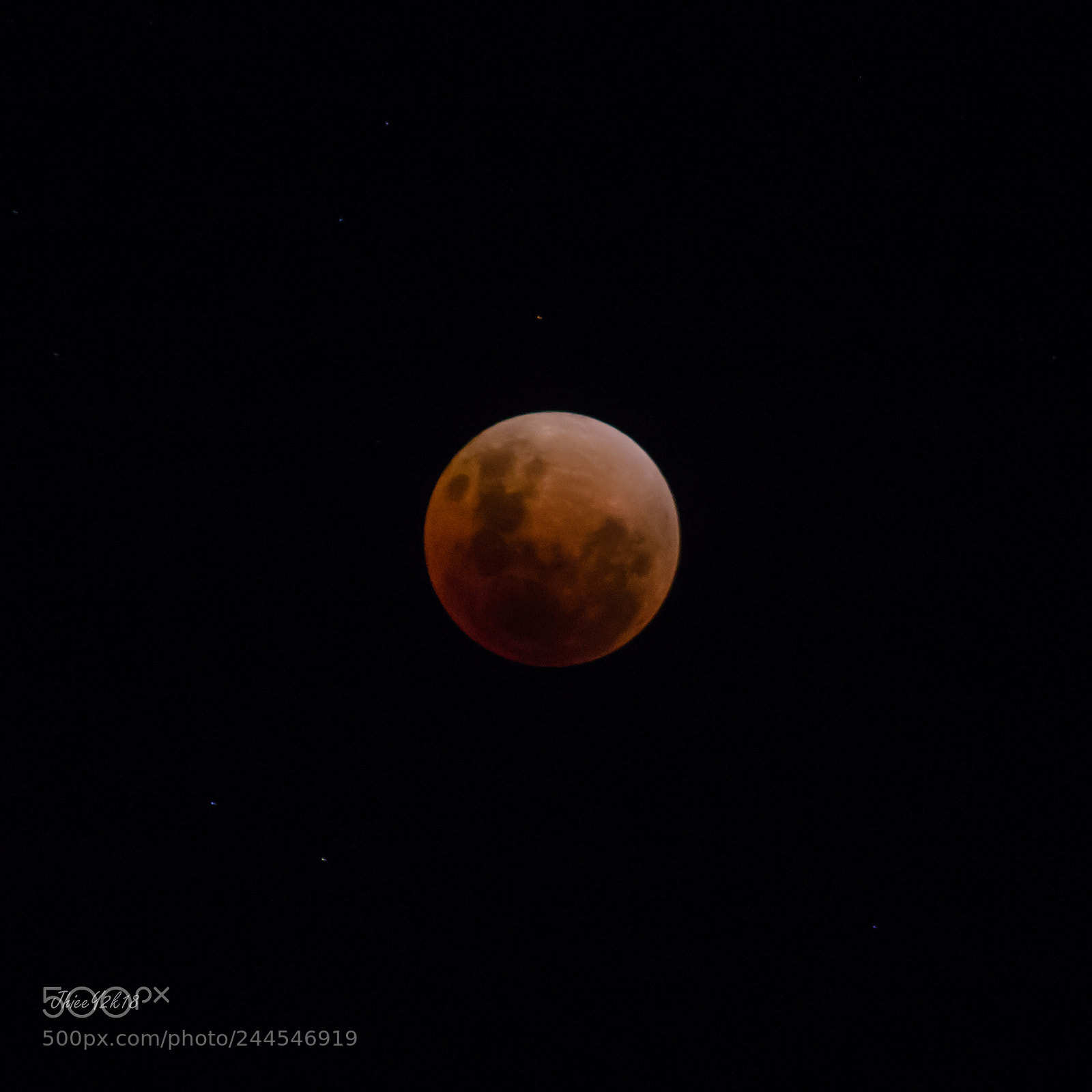 Canon EOS 60D sample photo. A blue blood moon photography