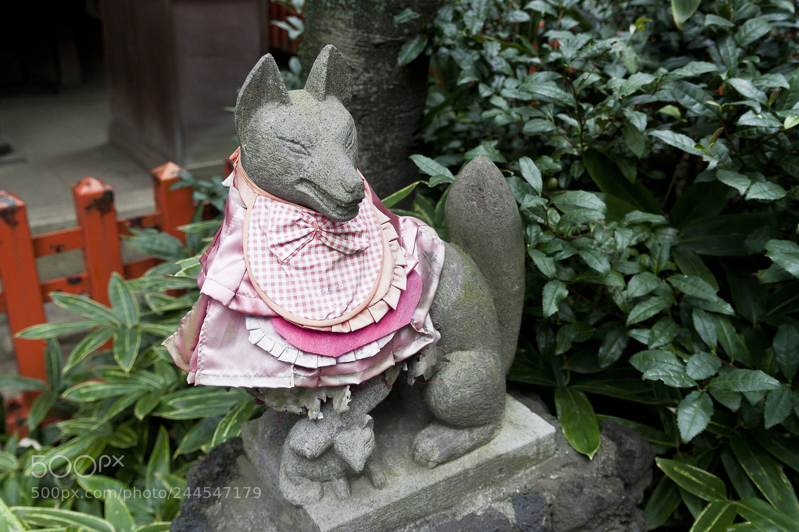 Canon EOS 450D (EOS Rebel XSi / EOS Kiss X2) sample photo. Kitsune photography