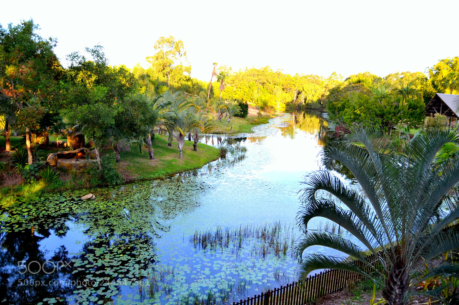 Nikon D3100 sample photo. The river photography