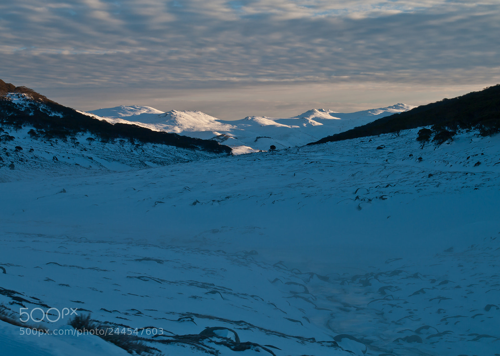 Pentax K20D sample photo. Charlotte pass photography