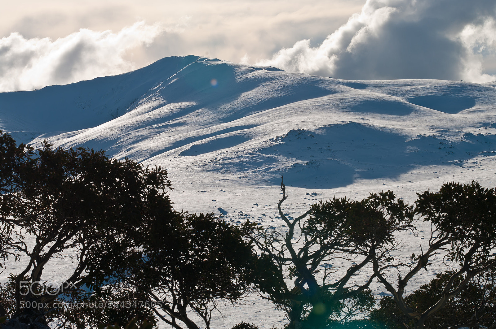 Pentax K20D sample photo. Charlotte pass photography