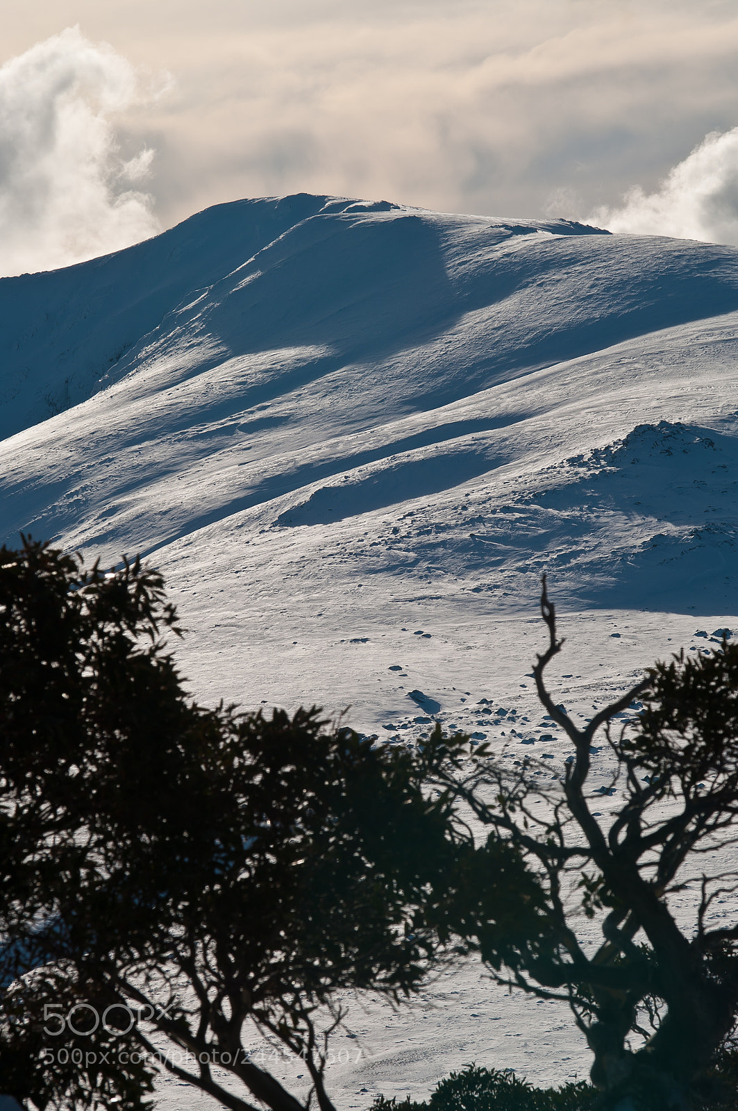 Pentax K20D sample photo. Charlotte pass photography
