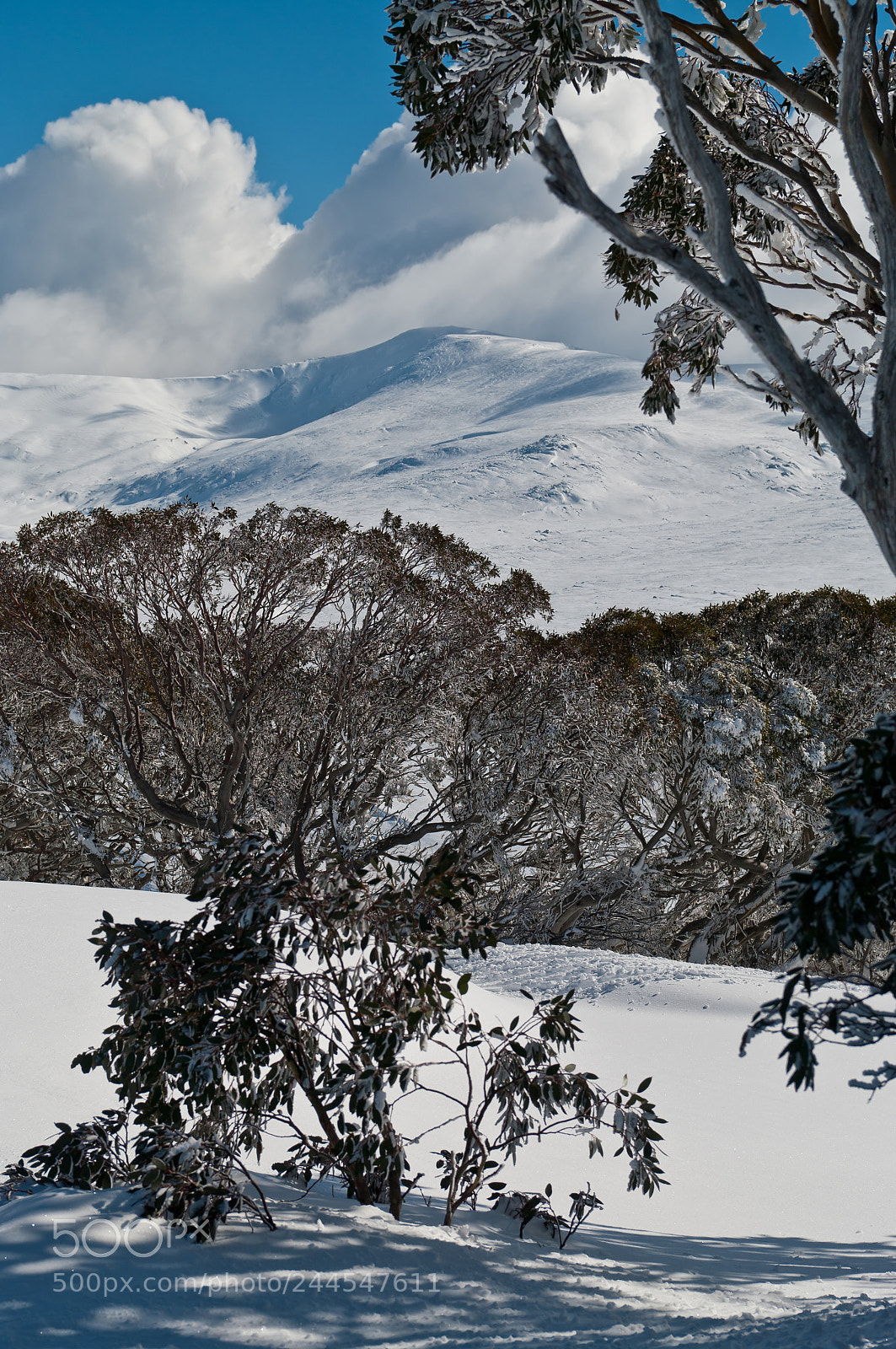 Pentax K20D sample photo. Charlotte pass photography