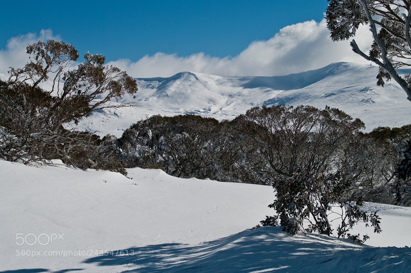 Pentax K20D sample photo. Charlotte pass photography