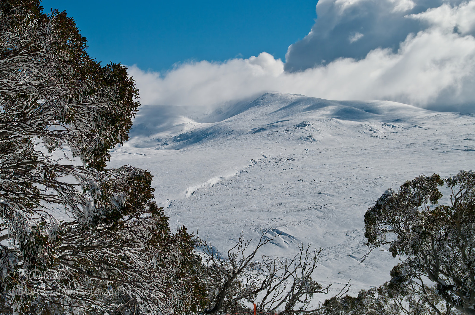 Pentax K20D sample photo. Charlotte pass photography