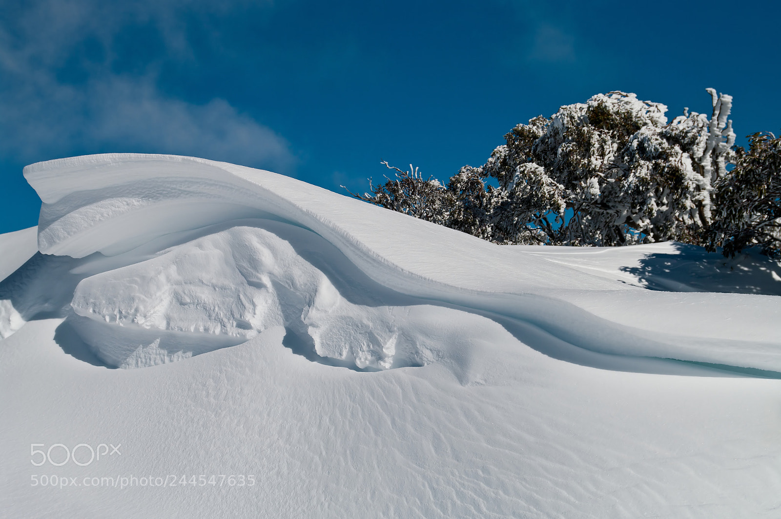 Pentax K20D sample photo. Charlotte pass photography