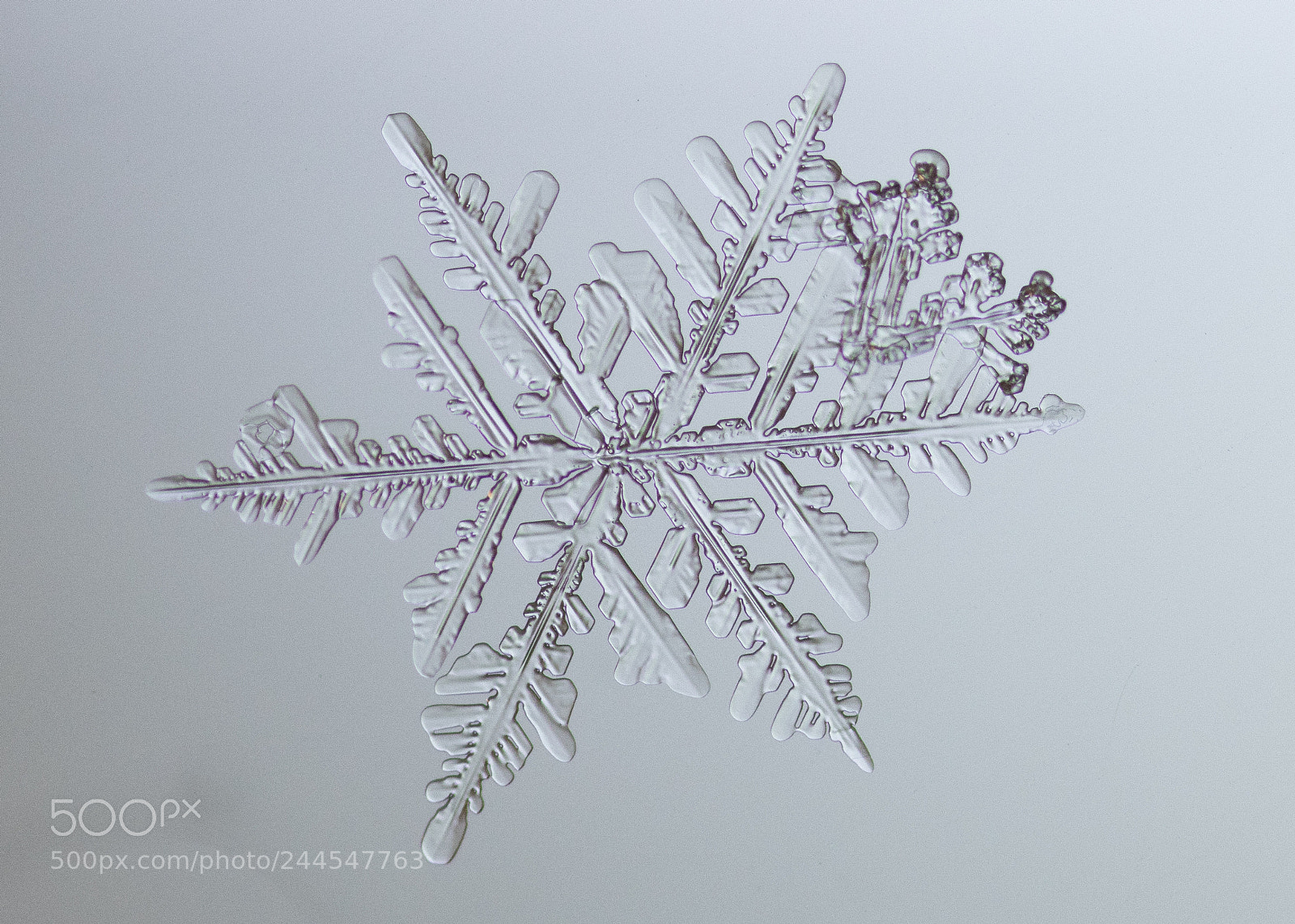 Canon EOS 7D Mark II sample photo. Snowflake photography