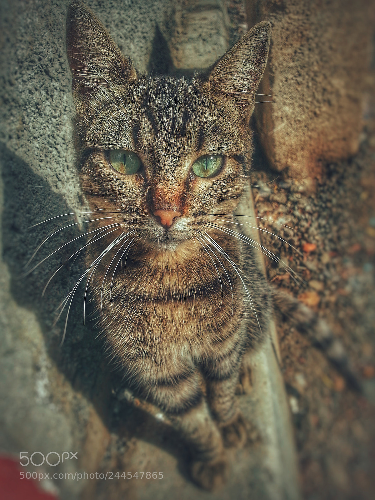 Samsung Galaxy Note2 sample photo. Untitled photography