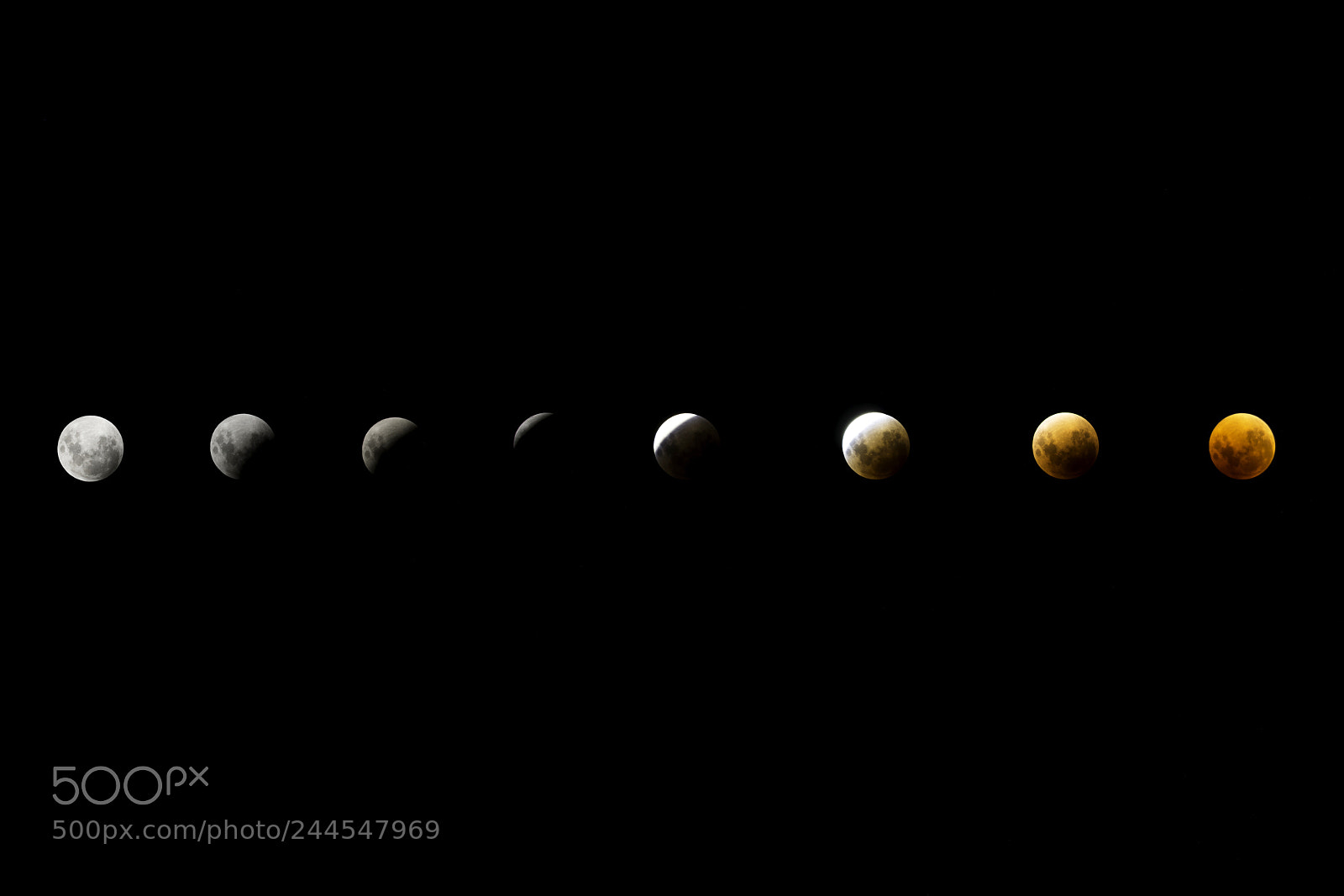 Nikon D800 sample photo. Super blue blood moon photography