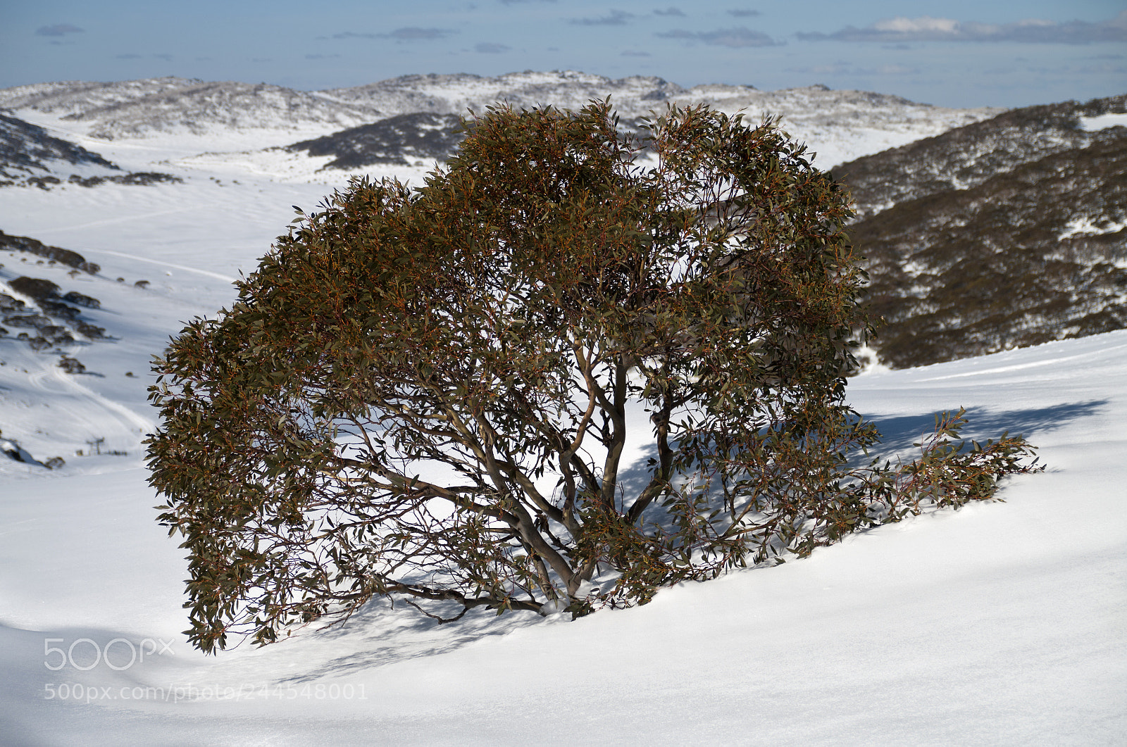 Pentax K20D sample photo. Charlotte pass photography