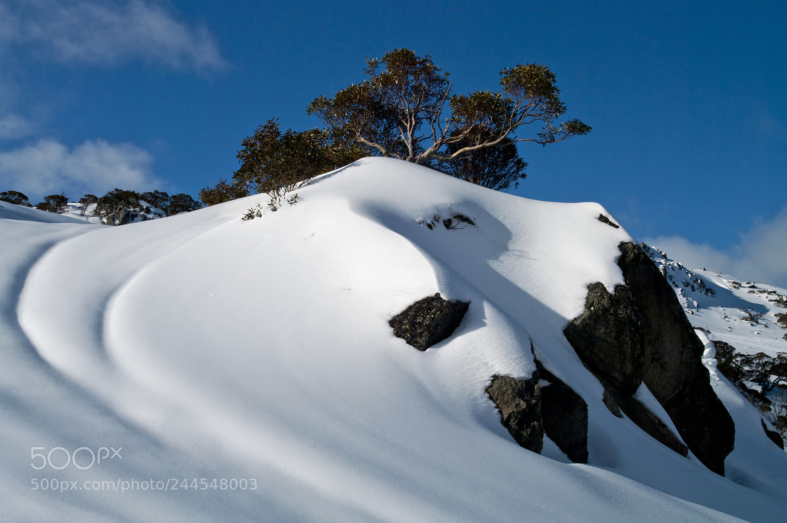 Pentax K20D sample photo. Charlotte pass photography