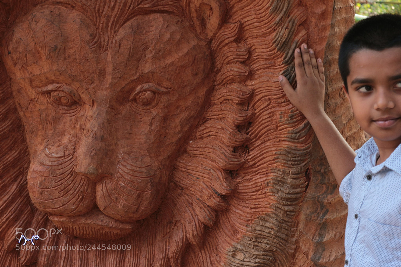 Canon EOS M10 sample photo. Lion photography