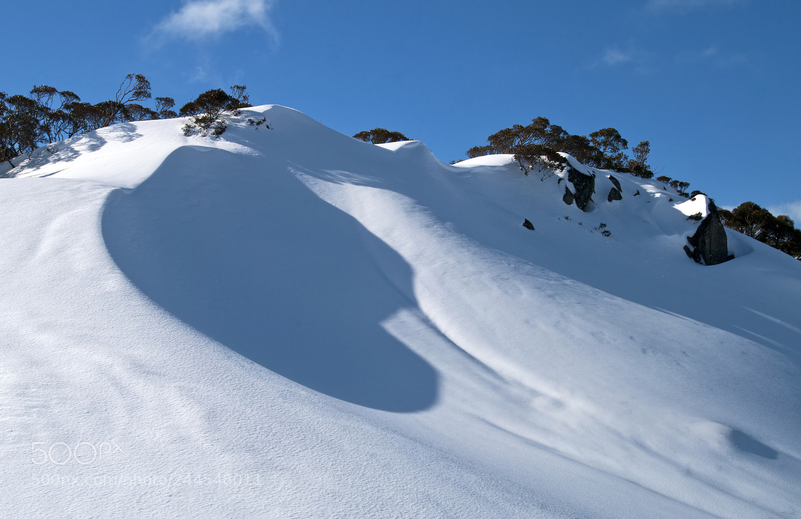 Pentax K20D sample photo. Charlotte pass photography