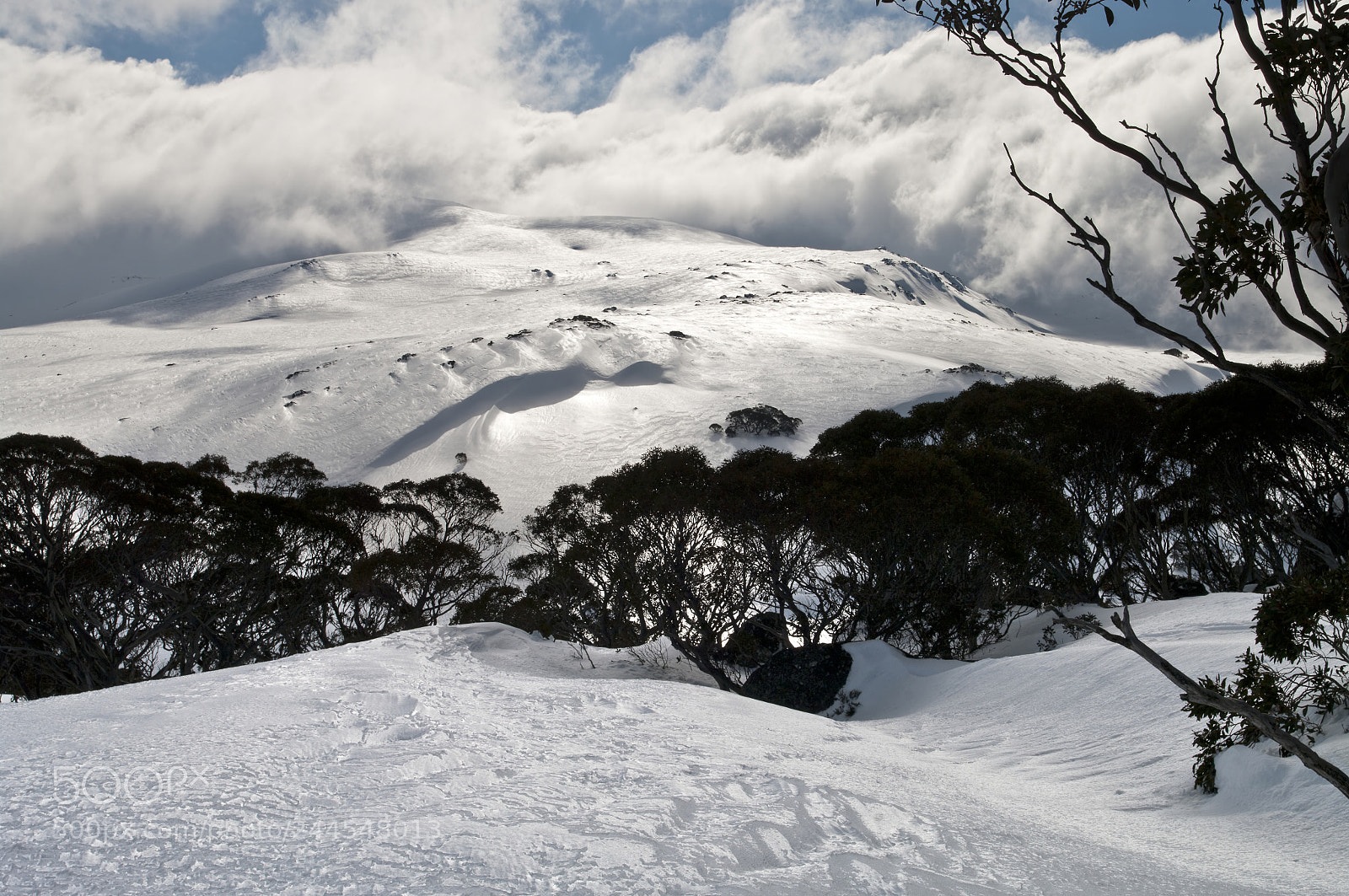Pentax K20D sample photo. Charlotte pass photography