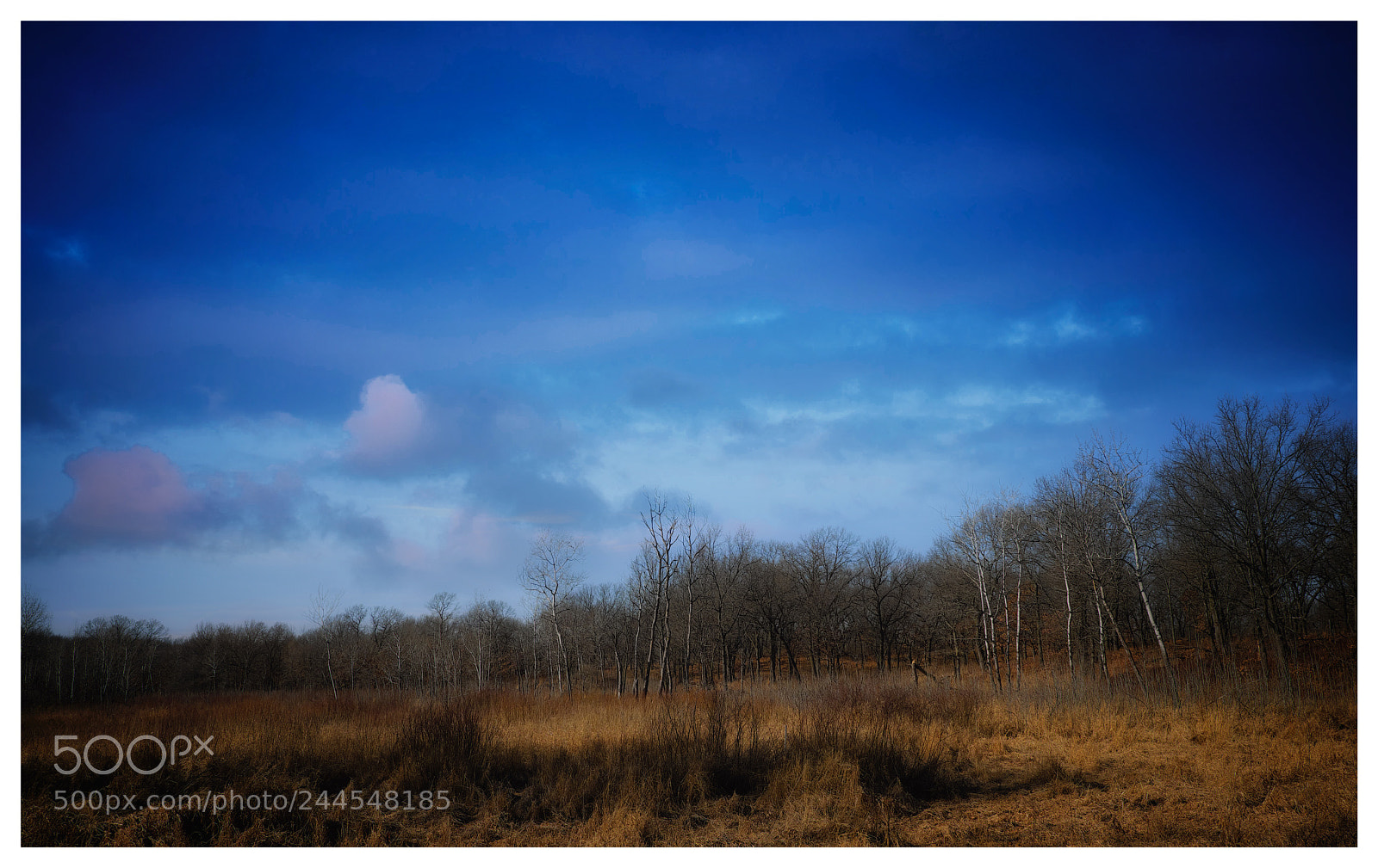 Fujifilm X-Pro2 sample photo. Nature's art photography