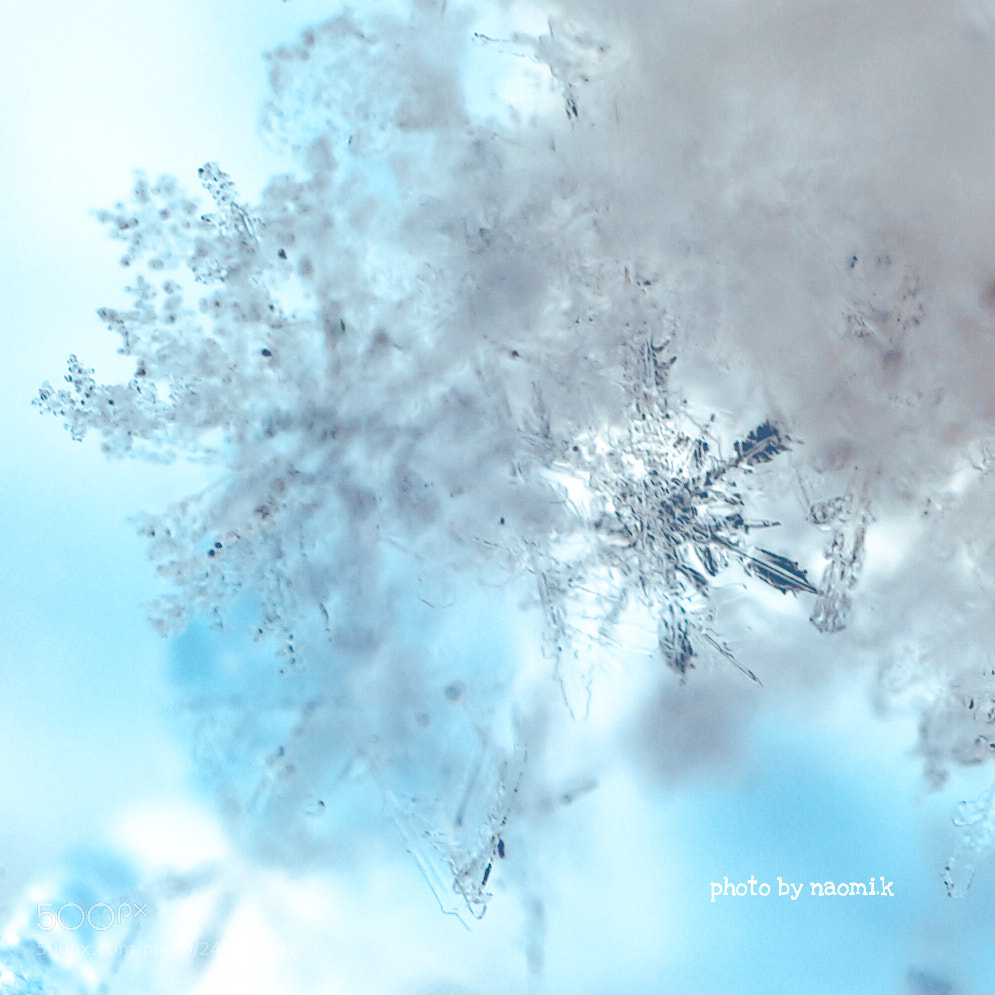 Canon EOS M10 sample photo. Crystal of snow photography