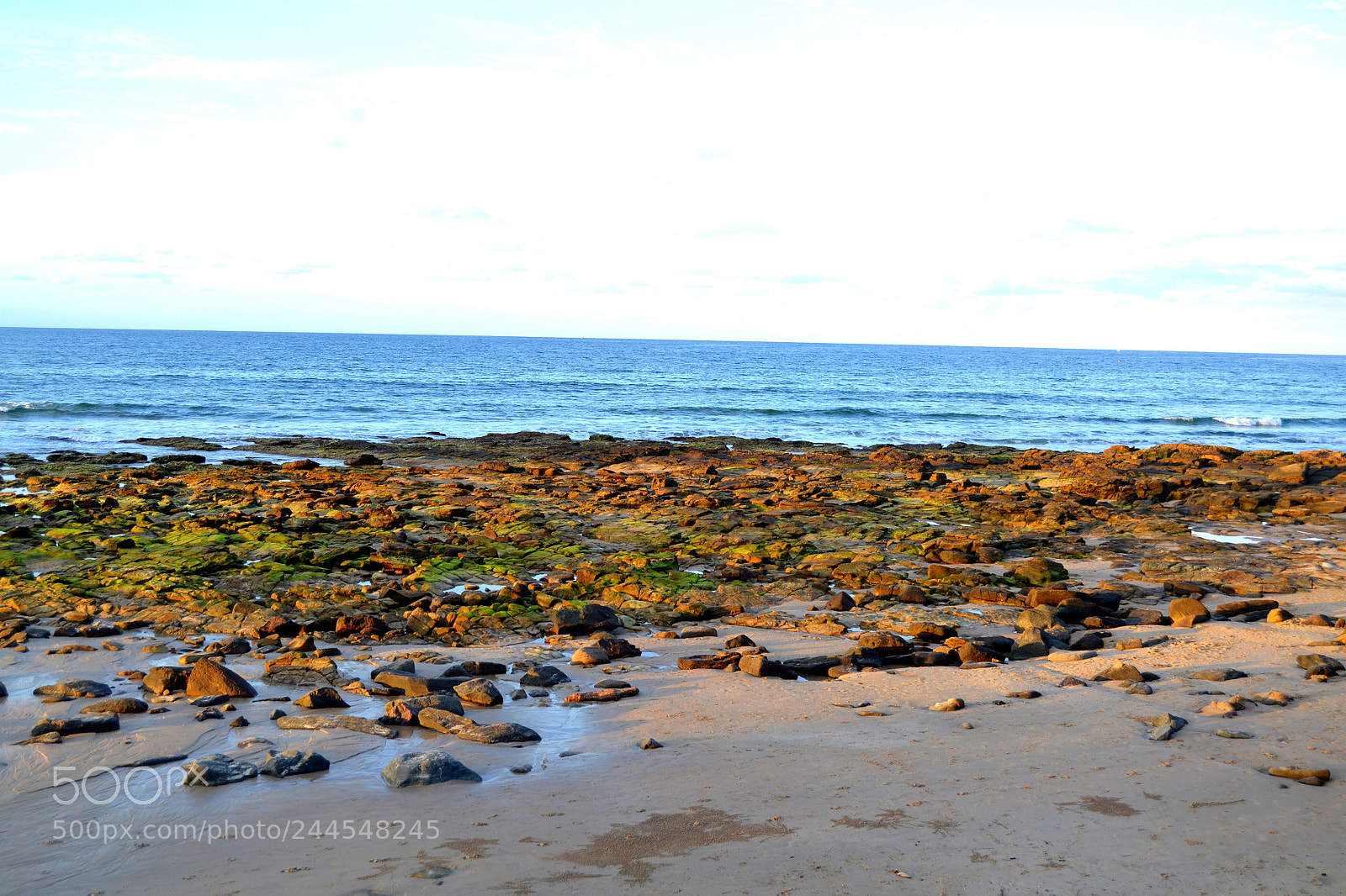 Nikon D3100 sample photo. The coral sea photography