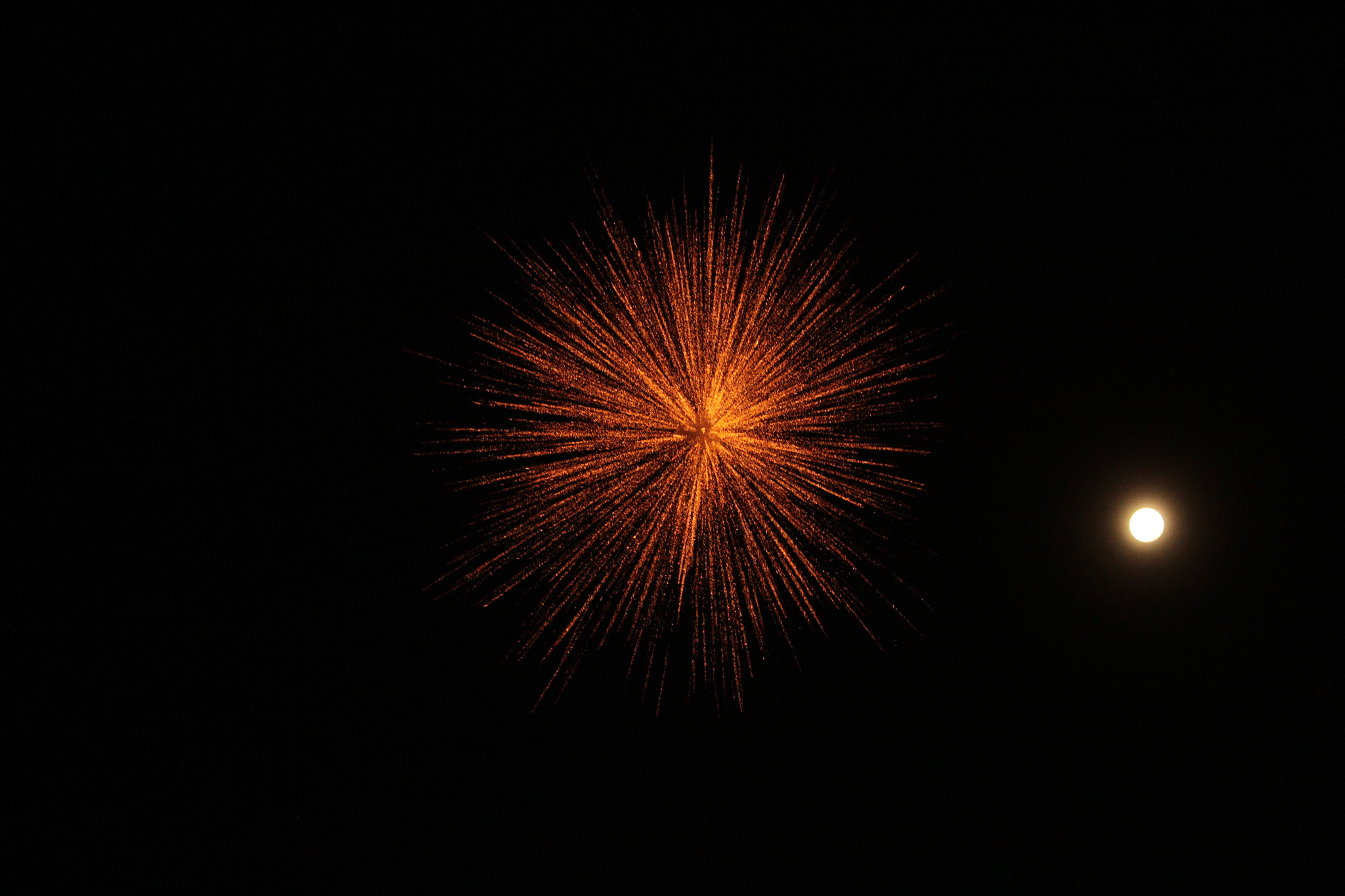 Canon EF-S 55-250mm F4-5.6 IS II sample photo