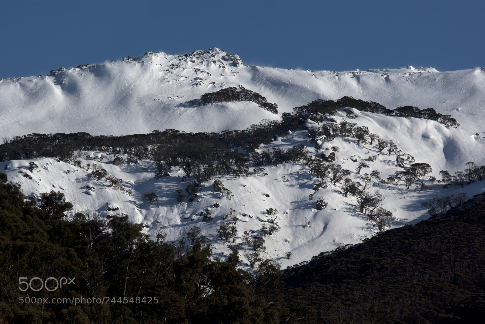 Pentax K10D sample photo. Snowy mountains australia photography