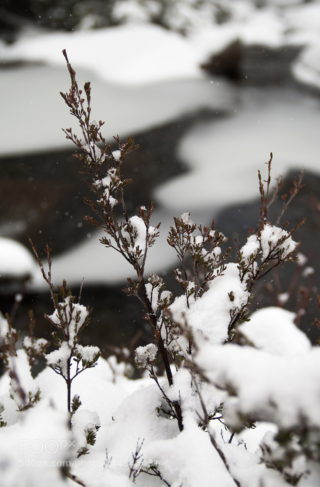 Pentax K20D sample photo. Snowy mountains australia photography