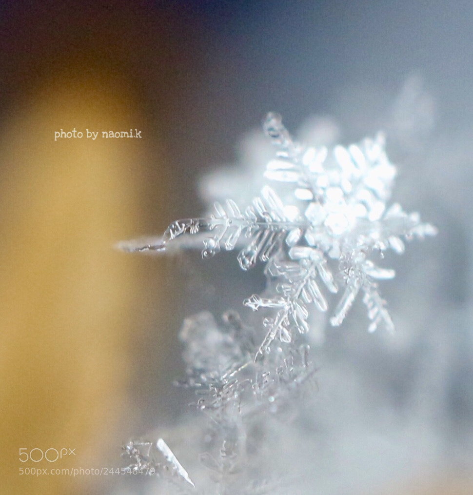 Canon EOS M10 sample photo. Crystal of snow photography