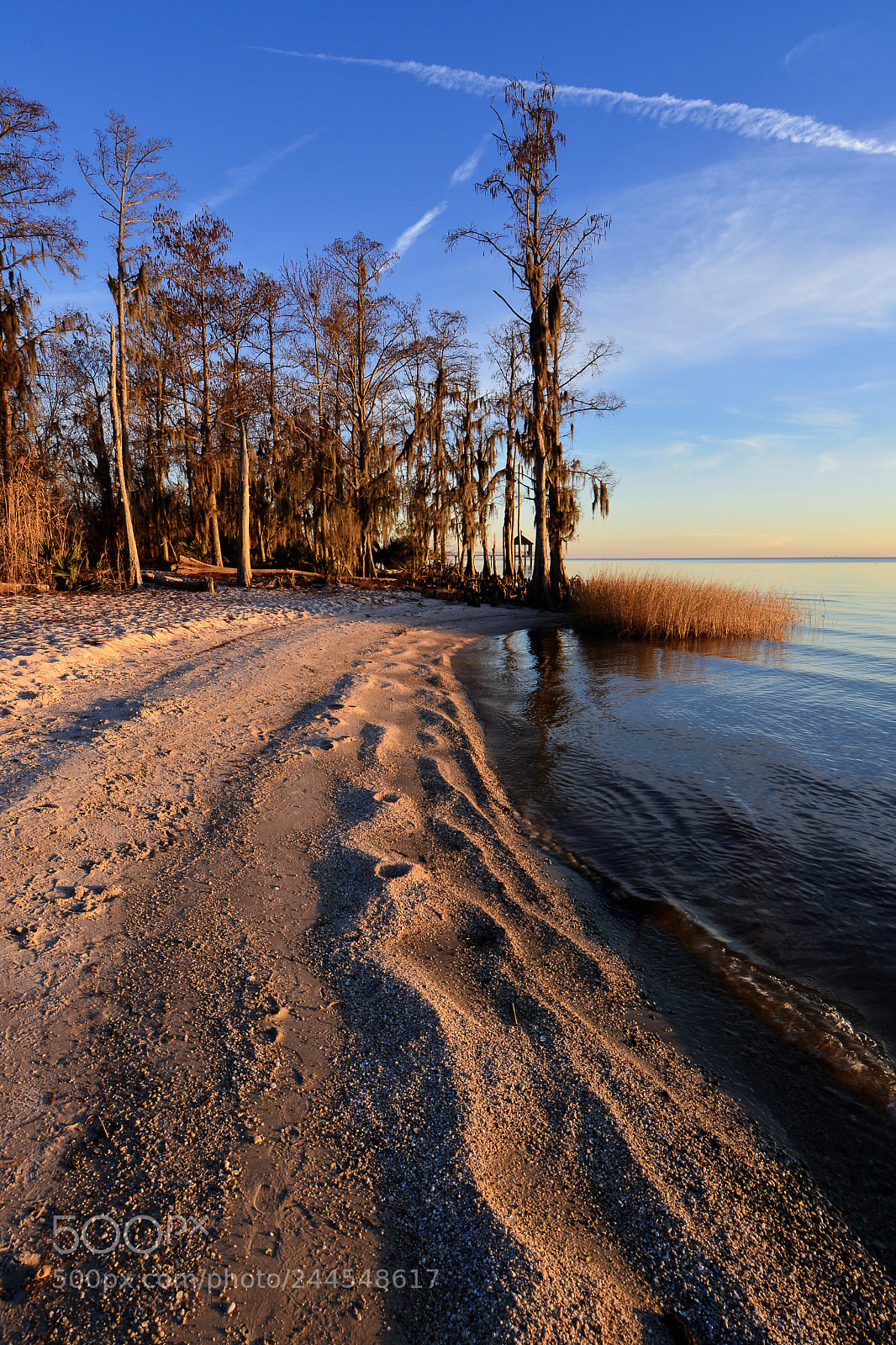 Nikon D7100 sample photo. Fontainebleau beach, mandeville, la. photography