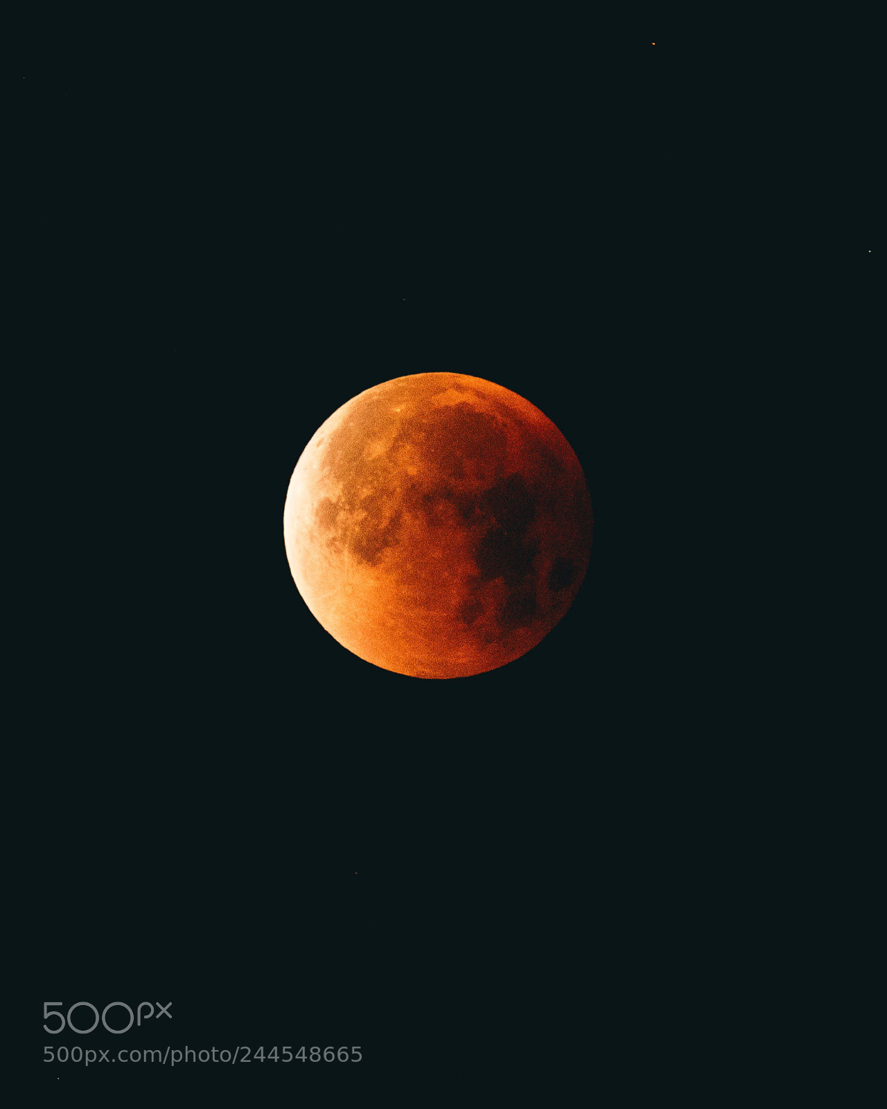 Sony a7R III sample photo. The super blue blood photography