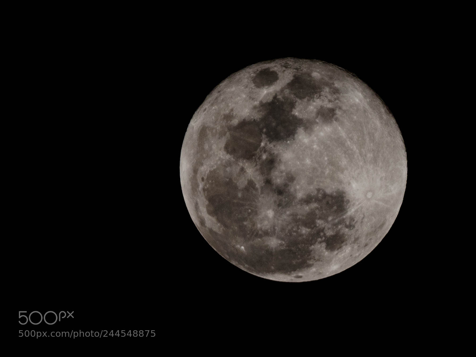 Olympus OM-D E-M1 Mark II sample photo. Blue super blood moon.......sorry photography