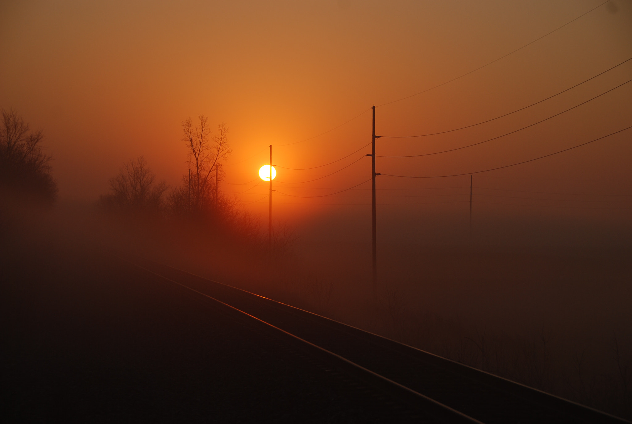 Nikon D80 sample photo. Sunrise on a fogy morning! photography