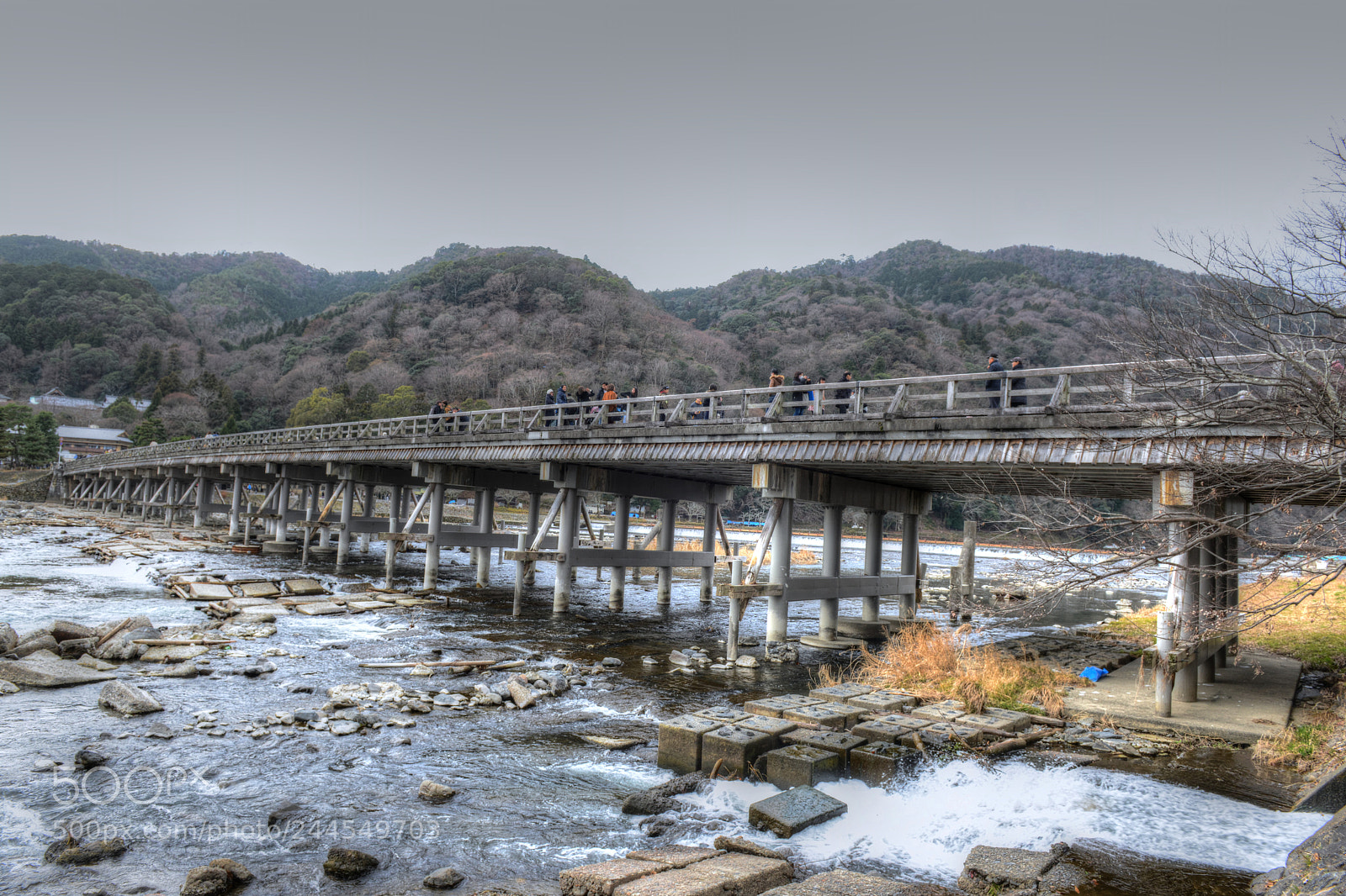 Nikon D800 sample photo. Bridge photography