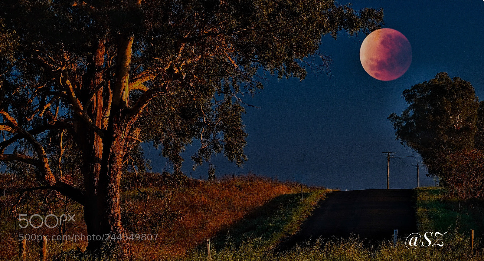Fujifilm X-T2 sample photo. Blood red full moon photography