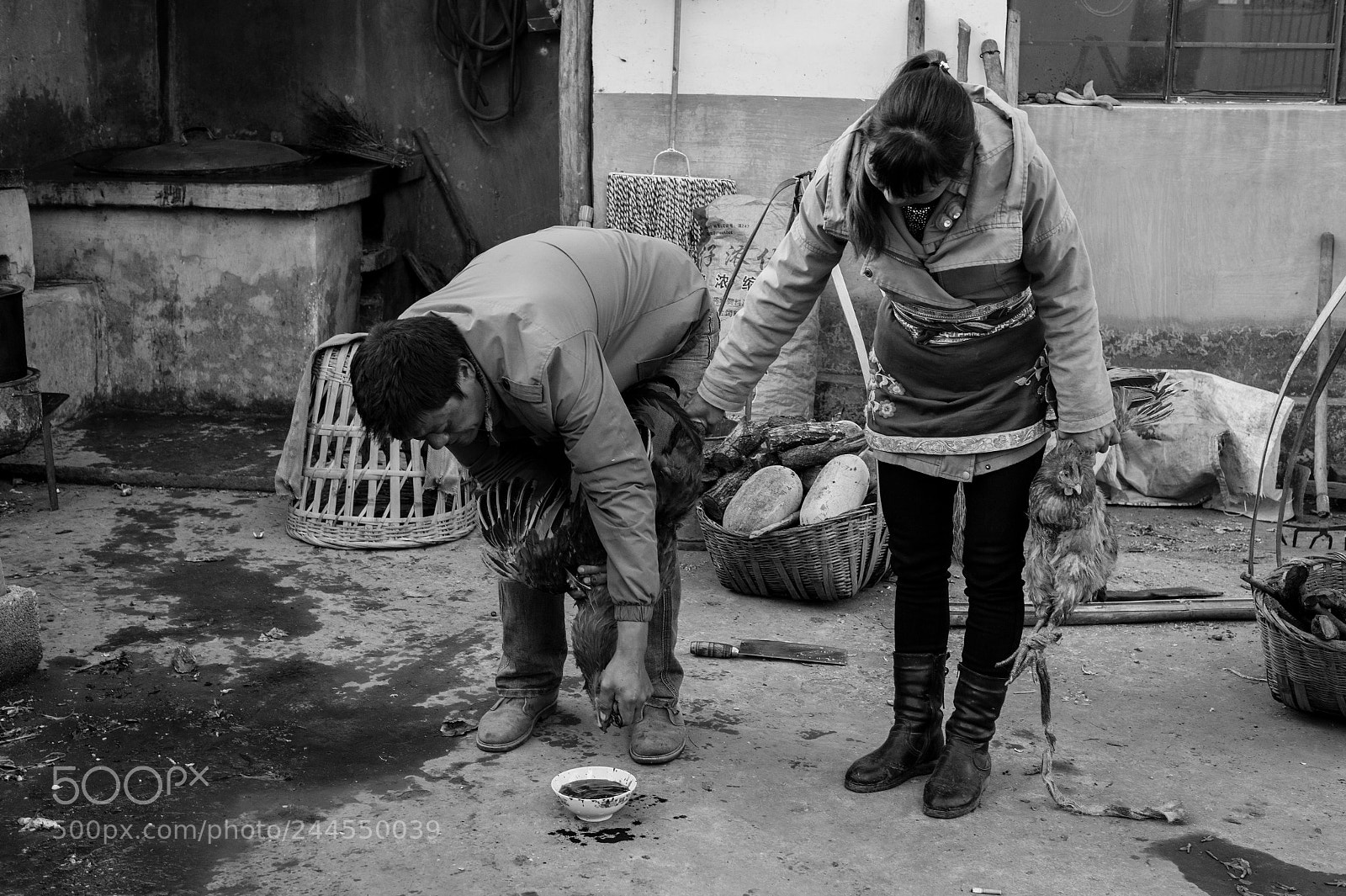 Leica M9 sample photo. Untitled photography