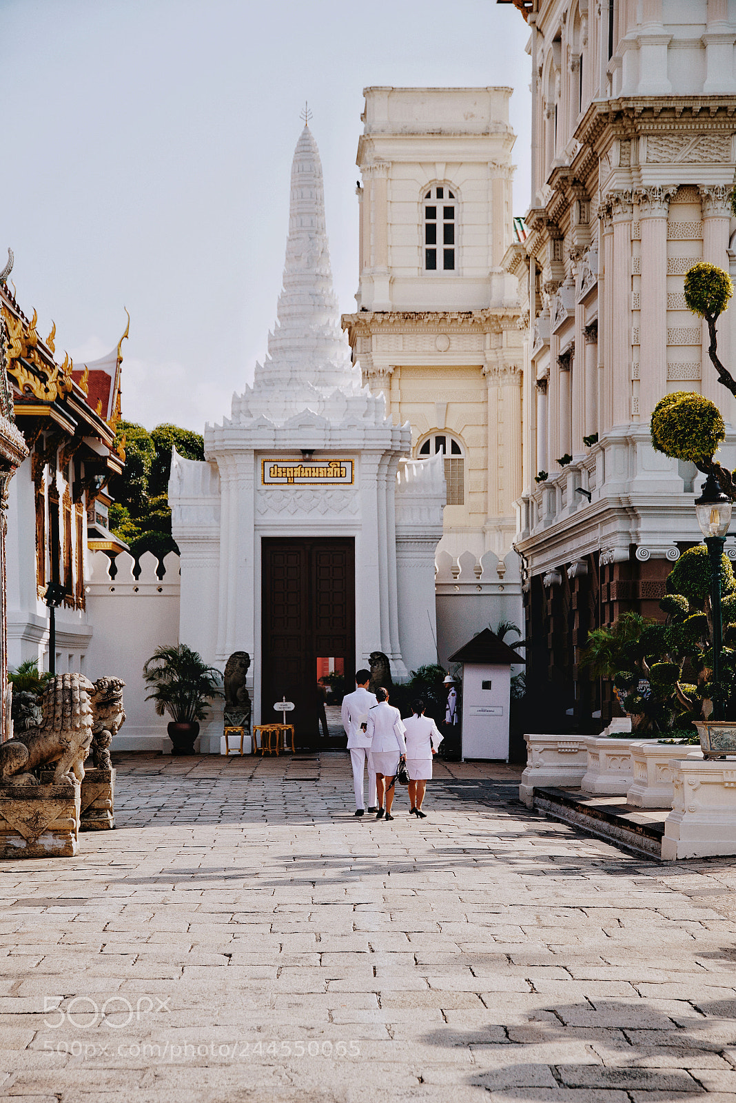 Sony a7R II sample photo. Untitled photography