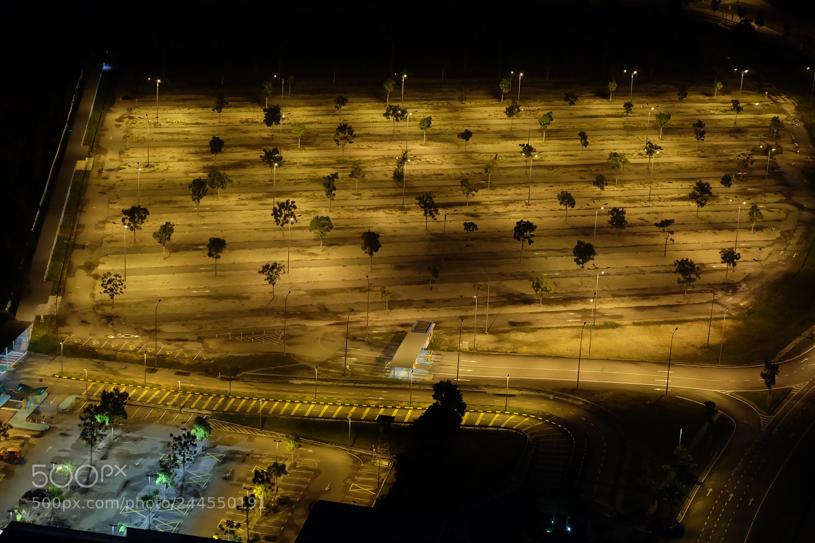 Fujifilm X-A2 sample photo. Night plantation photography