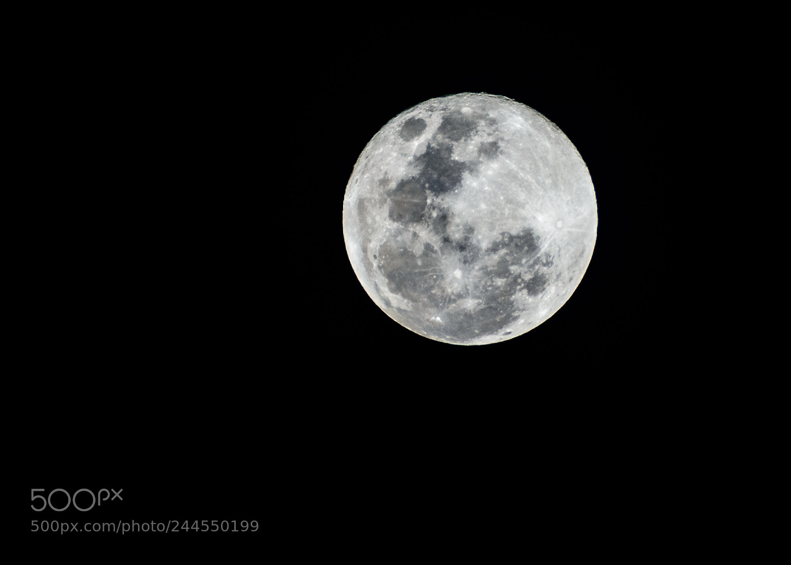 Nikon D7100 sample photo. Blue moon photography