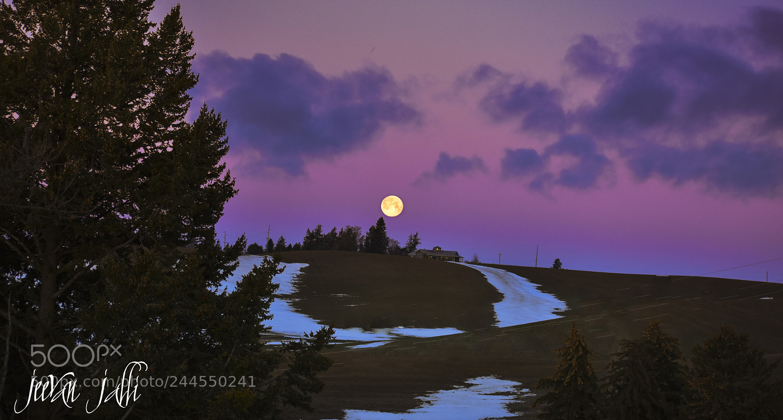 Nikon D3400 sample photo. Super moon in palouse photography