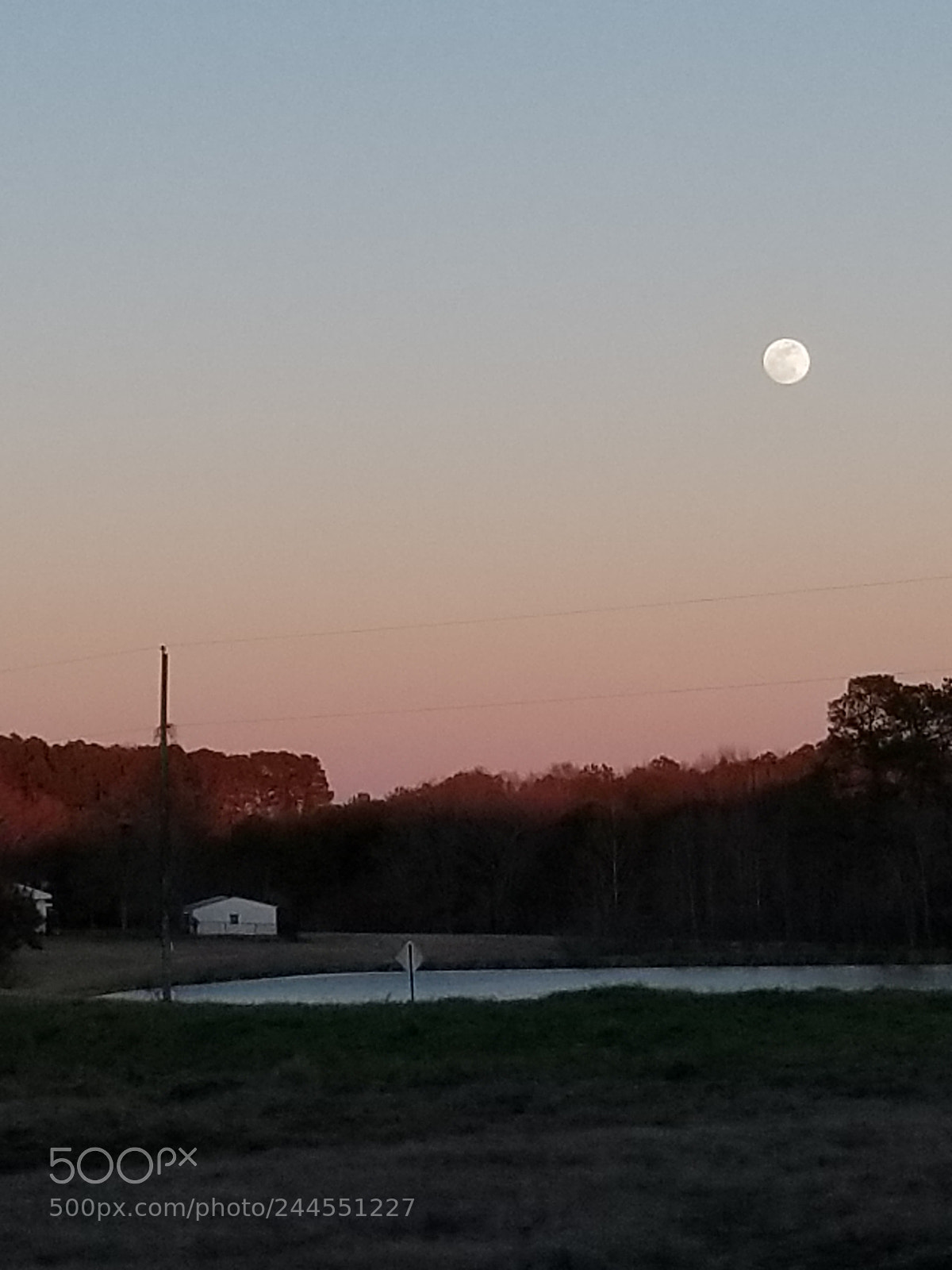 Samsung Galaxy S8+ sample photo. Untitled photography