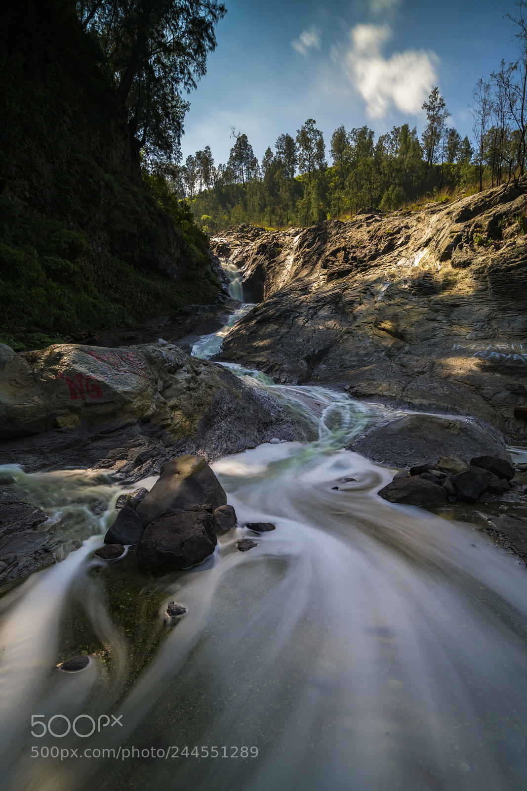 Sony a7R II sample photo. The unique kali pahit photography