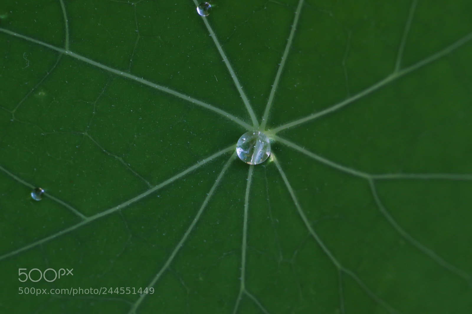 Pentax K-3 sample photo. Off-center photography
