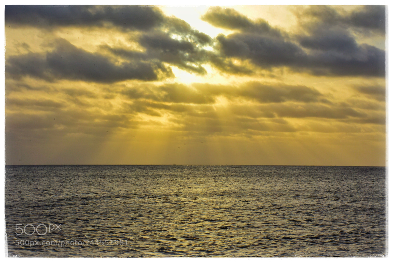 Nikon D7200 sample photo. Golden sky photography