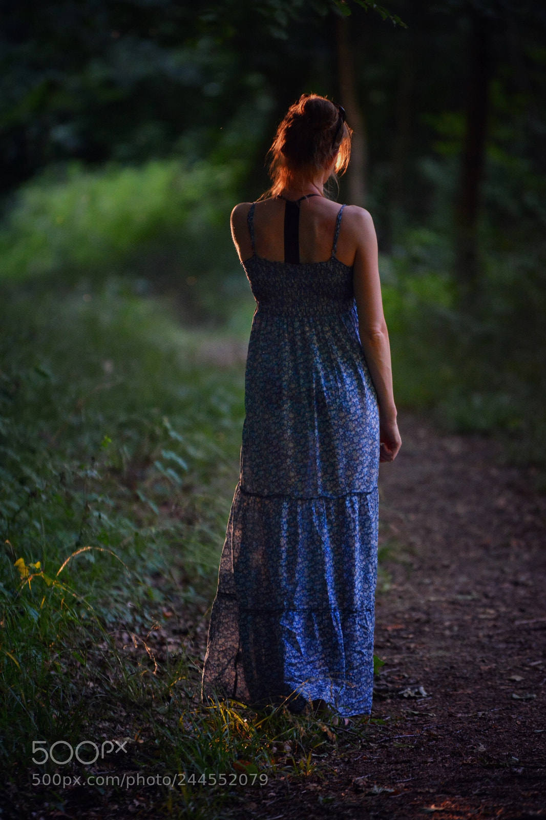 Nikon D7100 sample photo. Untitled photography