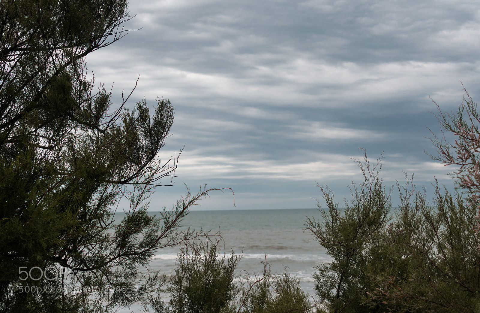 Nikon D3400 sample photo. Marco natural photography