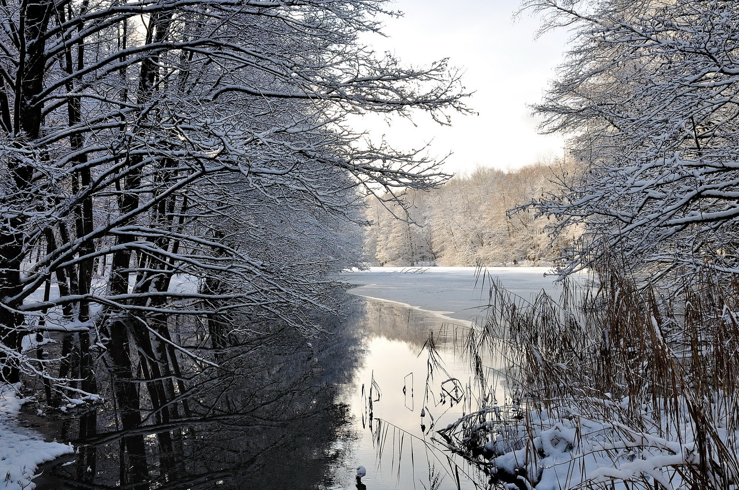 Nikon D5000 sample photo. Jpgк х photography