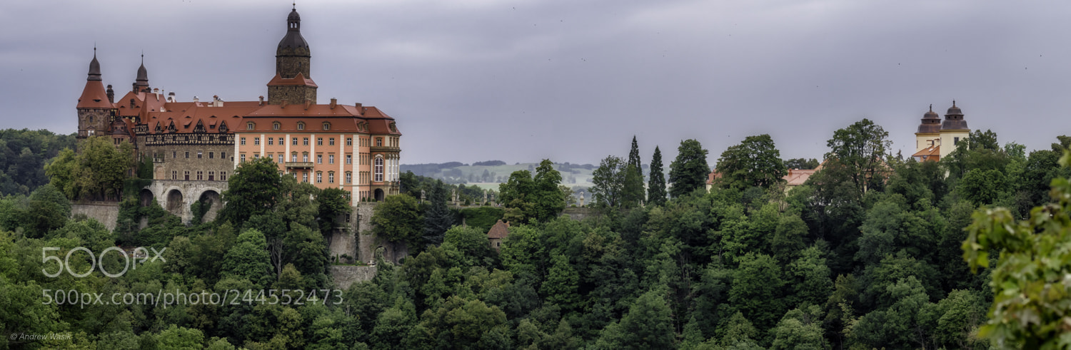 Nikon D500 sample photo. Ksiaż castle poland photography