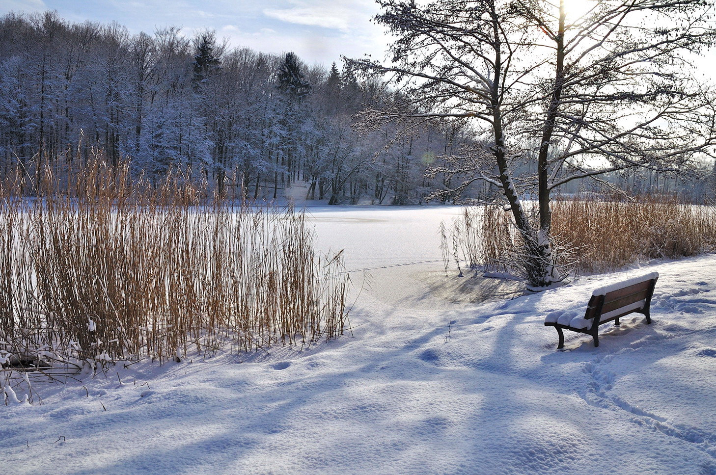 Nikon D5000 sample photo. --- photography